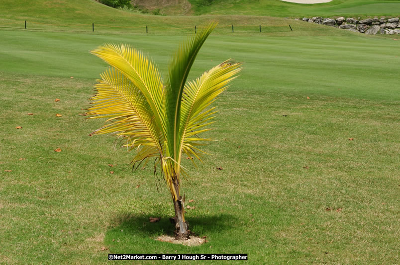 Rose Hall Resort & Golf Club / Cinnamon Hill Golf Course - IAGTO SuperFam Golf - Thursday, June 26, 2008 - Jamaica Welcome IAGTO SuperFam - Sponsored by the Jamaica Tourist Board, Half Moon, Rose Hall Resort & Country Club/Cinnamon Hill Golf Course, The Rose Hall Golf Association, Scandal Resort Golf Club, The Tryall Club, The Ritz-Carlton Golf & Spa Resort/White Witch, Jamaica Tours Ltd, Air Jamaica - June 24 - July 1, 2008 - If golf is your passion, Welcome to the Promised Land - Negril Travel Guide, Negril Jamaica WI - http://www.negriltravelguide.com - info@negriltravelguide.com...!