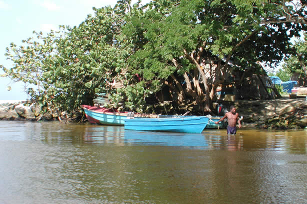 A Photo Walk along Negril's Famous Seven Mile Beach - Negril Travel Guide, Negril Jamaica WI - http://www.negriltravelguide.com - info@negriltravelguide.com...!