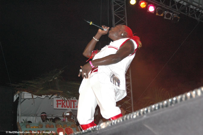 Elephant Man - Red Stripe Reggae Sumfest 2005 - Dancehall Night - July 21th, 2005 - Negril Travel Guide, Negril Jamaica WI - http://www.negriltravelguide.com - info@negriltravelguide.com...!