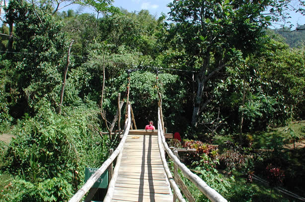 Riverwalk at   Mayfield Falls - Negril, Jamaica W.I. - Saturday, December 8, 2001 - Negril Travel Guide